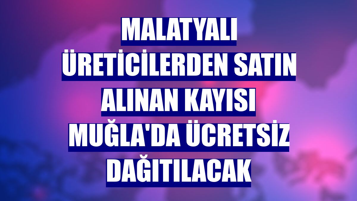 Malatyalı üreticilerden satın alınan kayısı Muğla'da ücretsiz dağıtılacak
