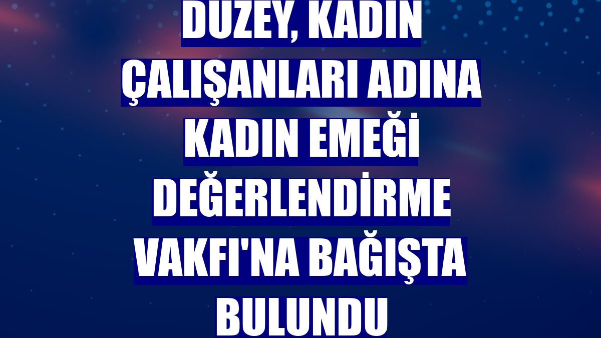 Düzey, kadın çalışanları adına Kadın Emeği Değerlendirme Vakfı'na bağışta bulundu