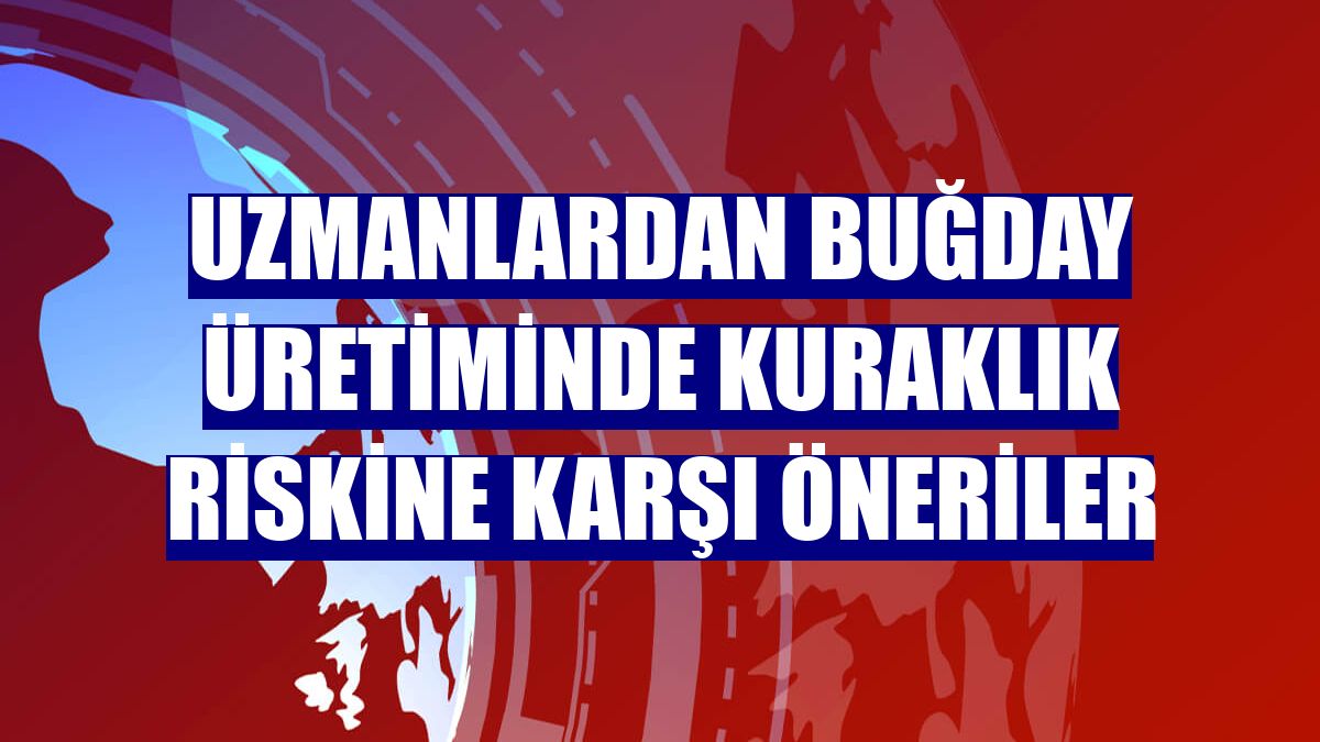 Uzmanlardan buğday üretiminde kuraklık riskine karşı öneriler