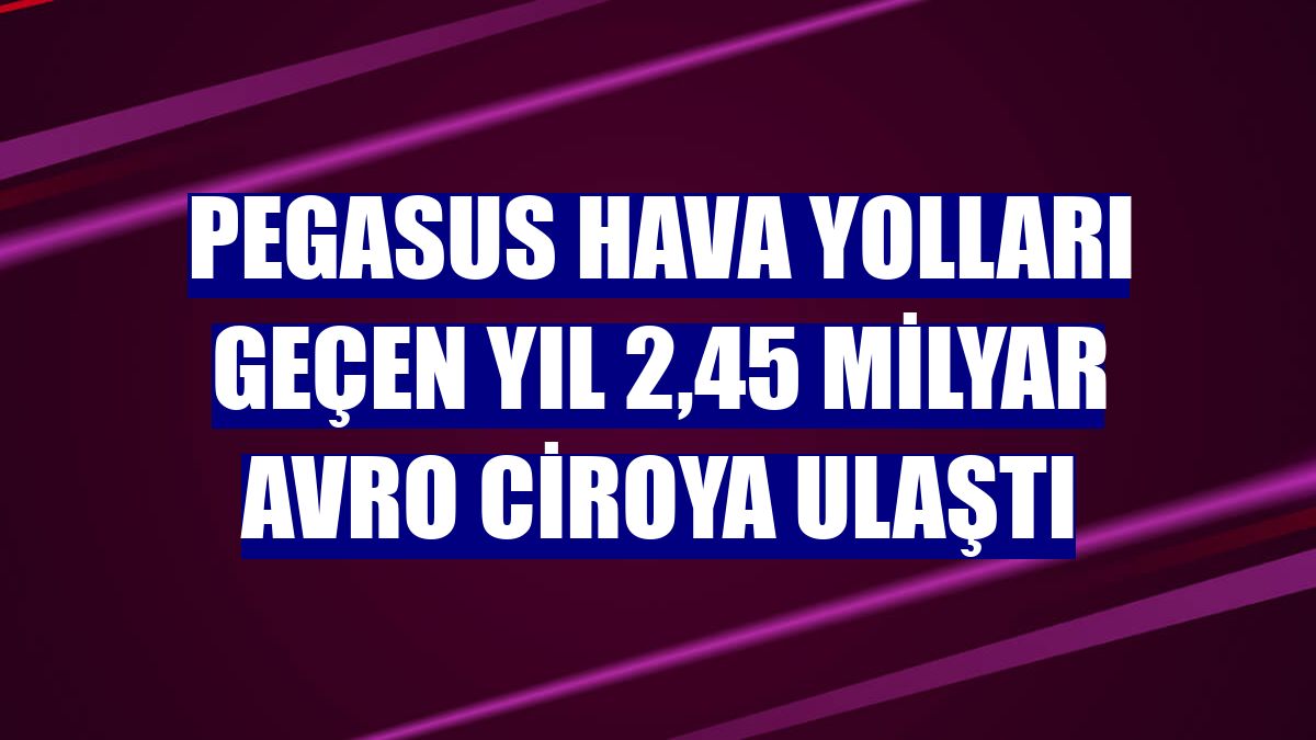 Pegasus Hava Yolları geçen yıl 2,45 milyar avro ciroya ulaştı