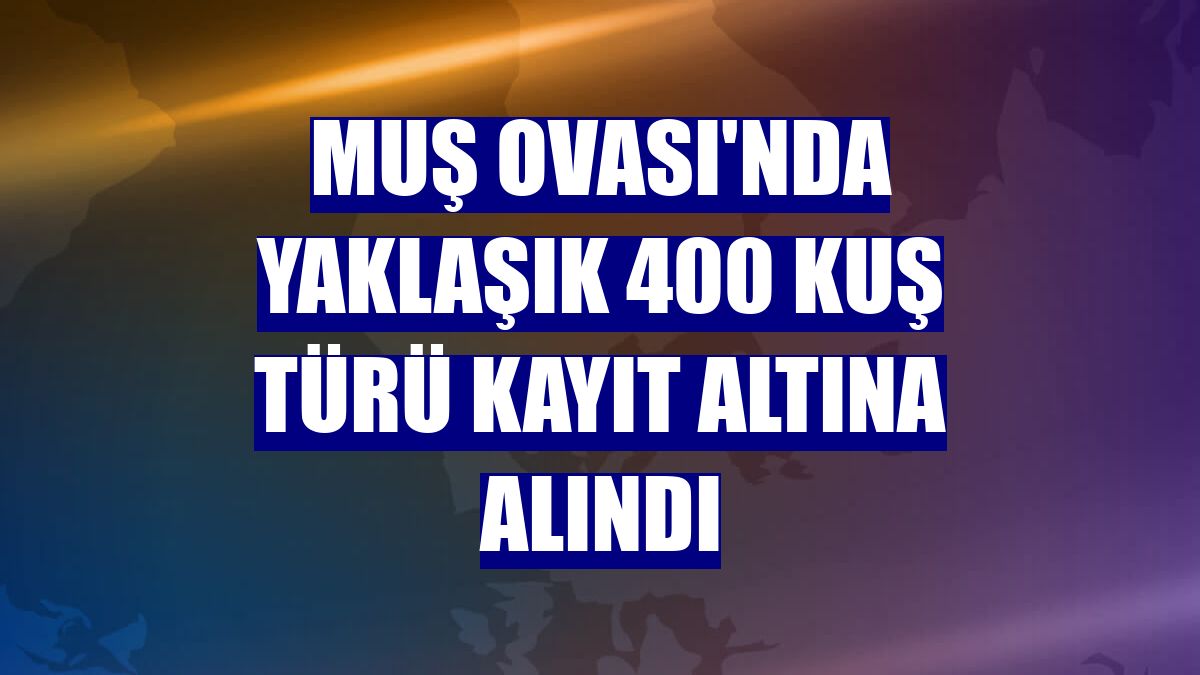 Muş Ovası'nda yaklaşık 400 kuş türü kayıt altına alındı