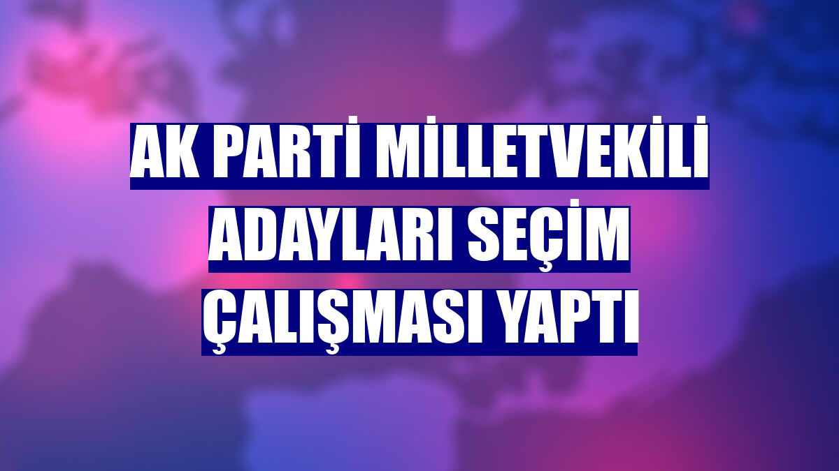AK Parti Milletvekili adayları seçim çalışması yaptı