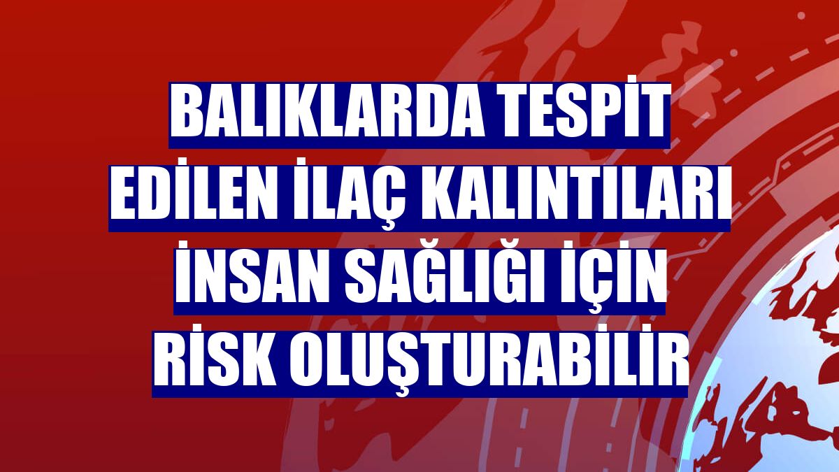 Balıklarda tespit edilen ilaç kalıntıları insan sağlığı için risk oluşturabilir