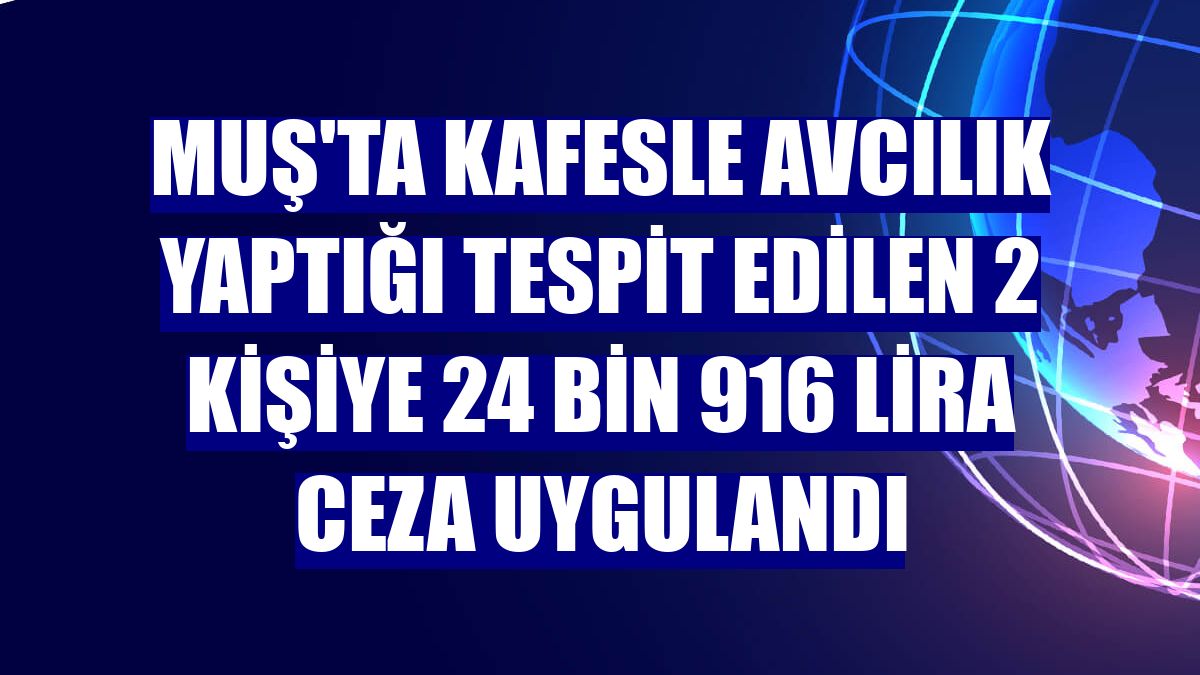 Muş'ta kafesle avcılık yaptığı tespit edilen 2 kişiye 24 bin 916 lira ceza uygulandı