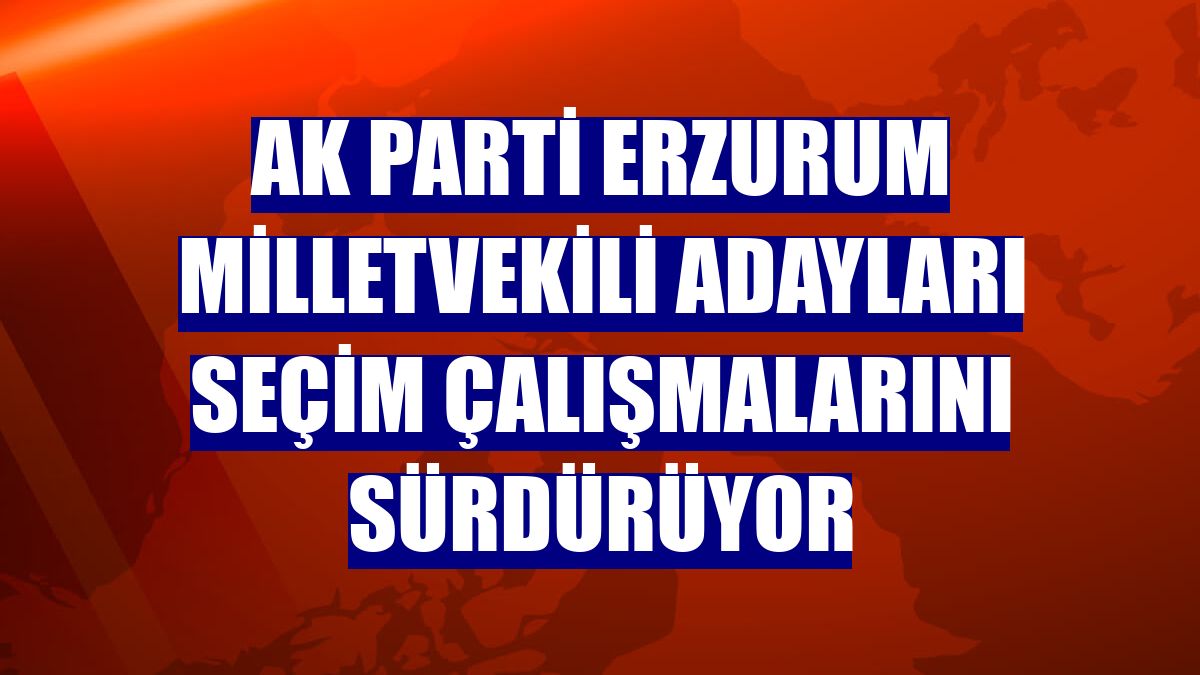 AK Parti Erzurum milletvekili adayları seçim çalışmalarını sürdürüyor
