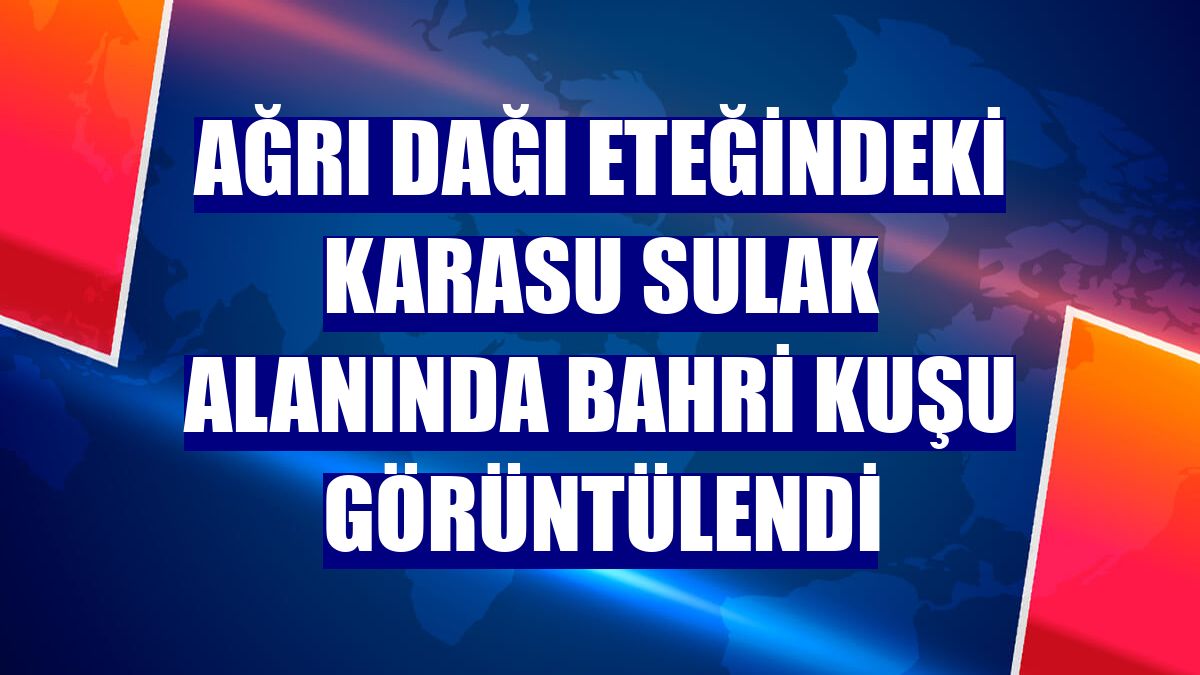 Ağrı Dağı eteğindeki Karasu sulak alanında bahri kuşu görüntülendi