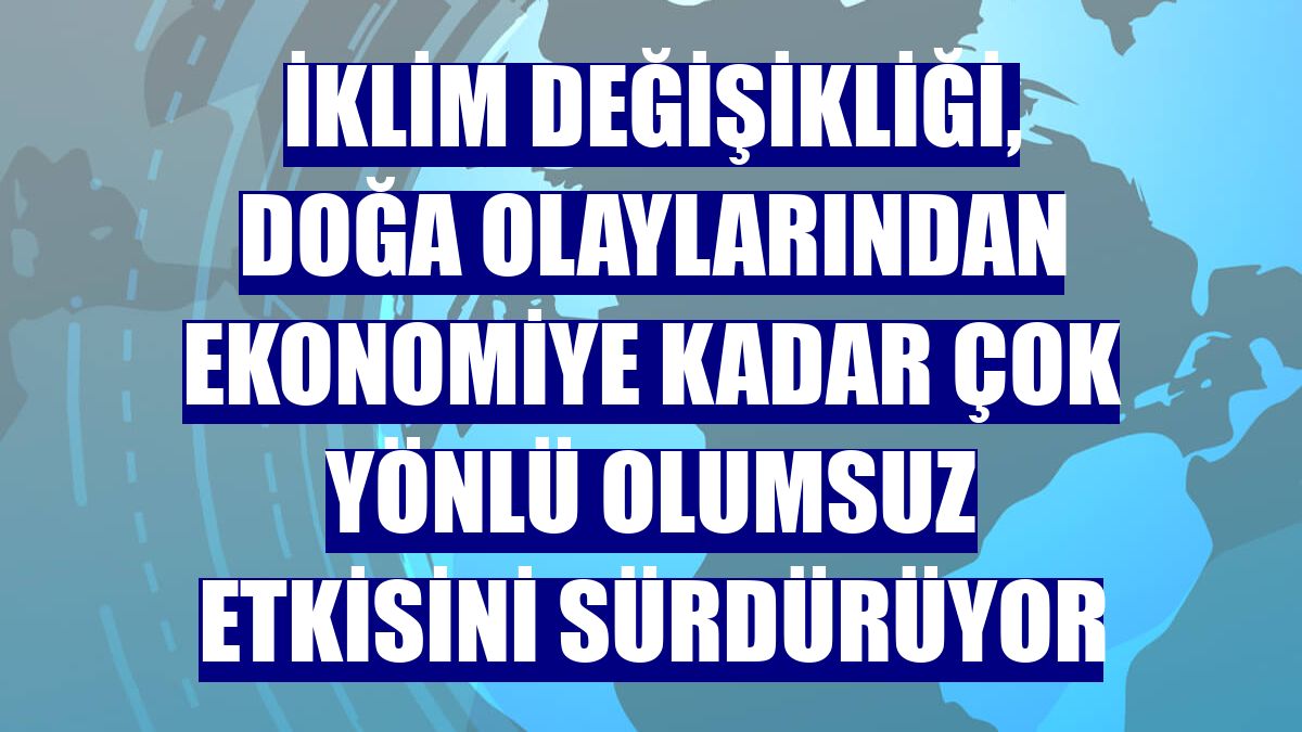 İklim değişikliği, doğa olaylarından ekonomiye kadar çok yönlü olumsuz etkisini sürdürüyor