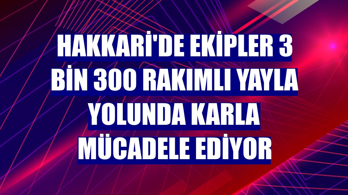 Hakkari'de ekipler 3 bin 300 rakımlı yayla yolunda karla mücadele ediyor