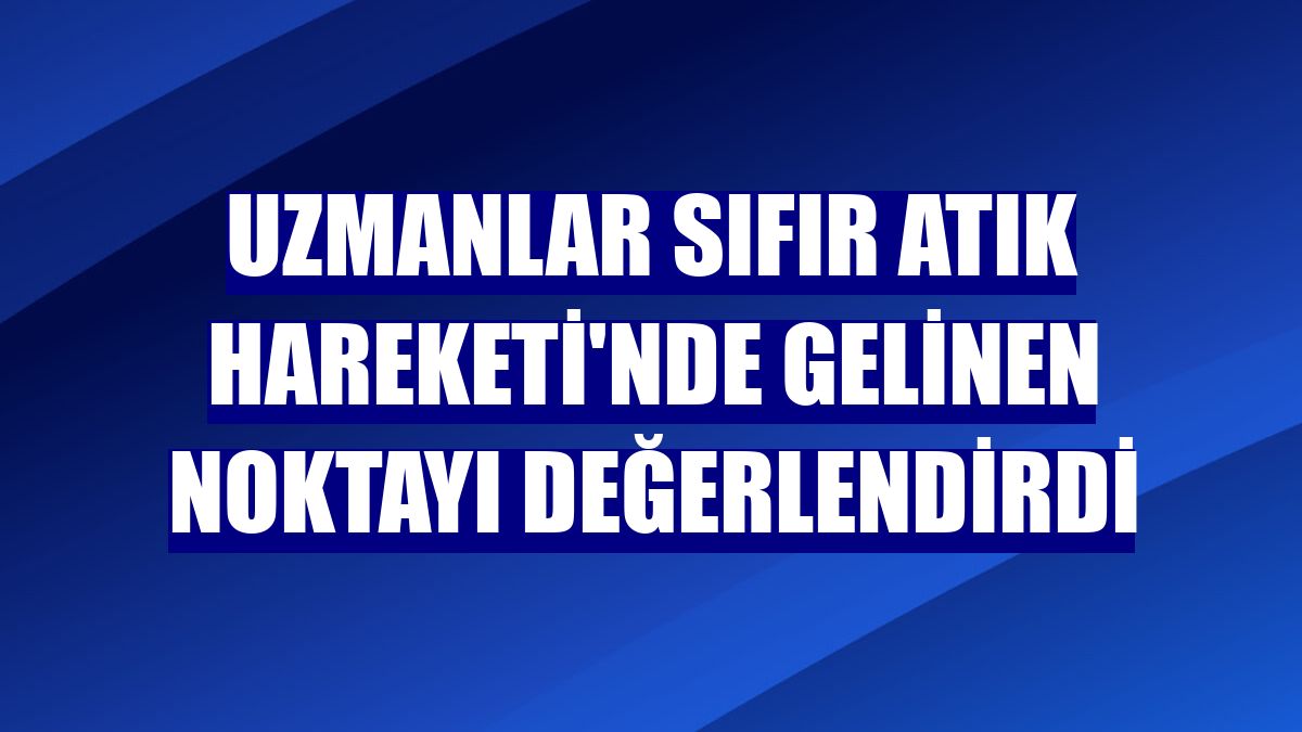 Uzmanlar Sıfır Atık Hareketi'nde gelinen noktayı değerlendirdi