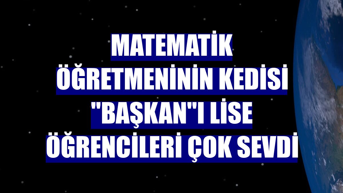 Matematik öğretmeninin kedisi "Başkan"ı lise öğrencileri çok sevdi