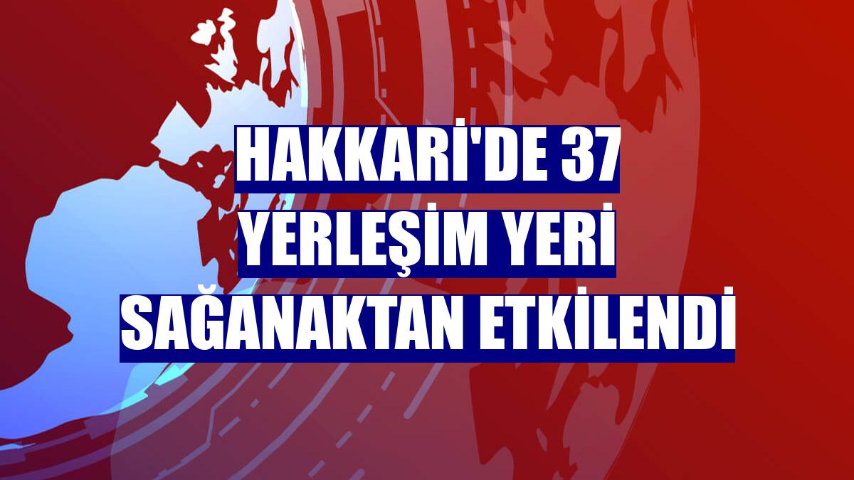 Hakkari'de 37 yerleşim yeri sağanaktan etkilendi
