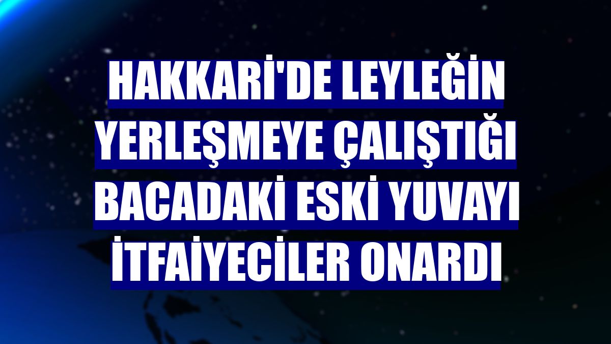 Hakkari'de leyleğin yerleşmeye çalıştığı bacadaki eski yuvayı itfaiyeciler onardı