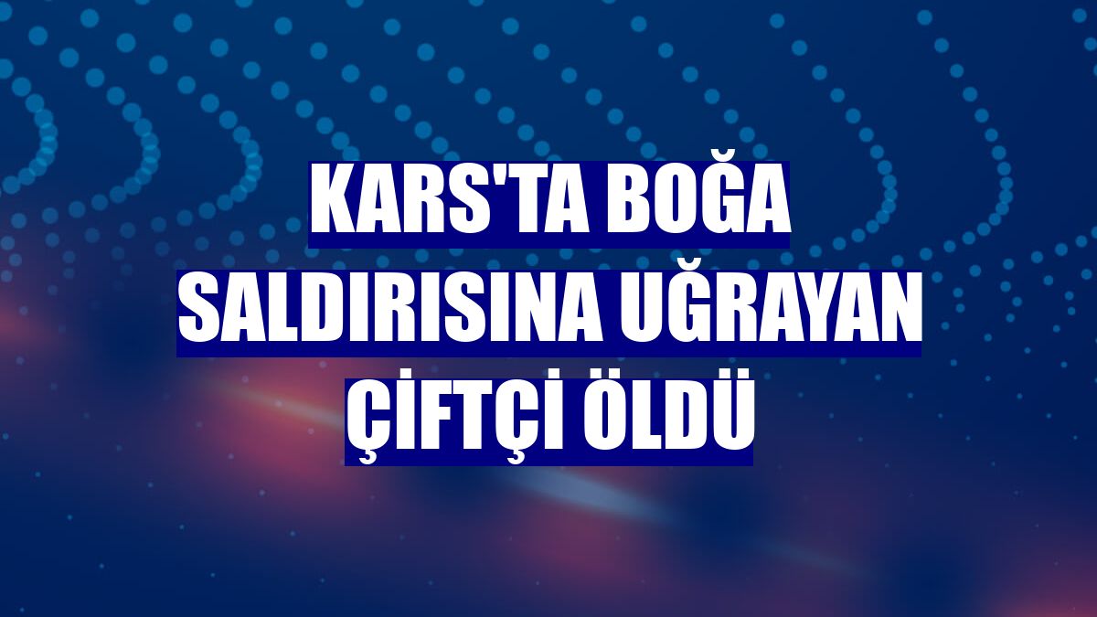 Kars'ta boğa saldırısına uğrayan çiftçi öldü