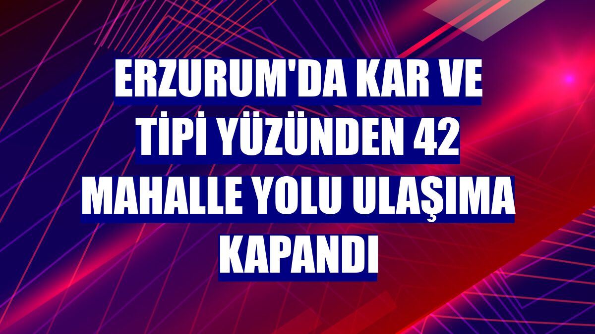 Erzurum'da kar ve tipi yüzünden 42 mahalle yolu ulaşıma kapandı