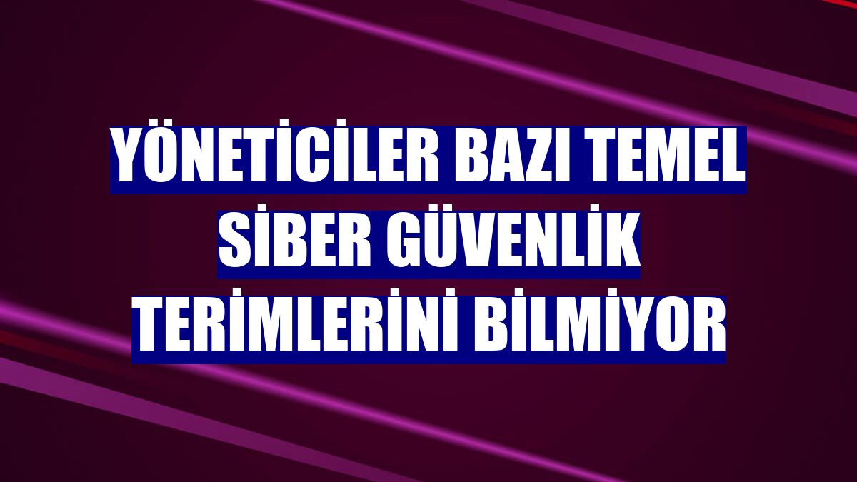Yöneticiler bazı temel siber güvenlik terimlerini bilmiyor