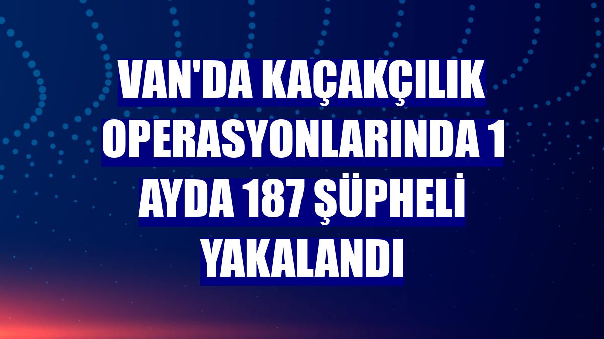 Van'da kaçakçılık operasyonlarında 1 ayda 187 şüpheli yakalandı