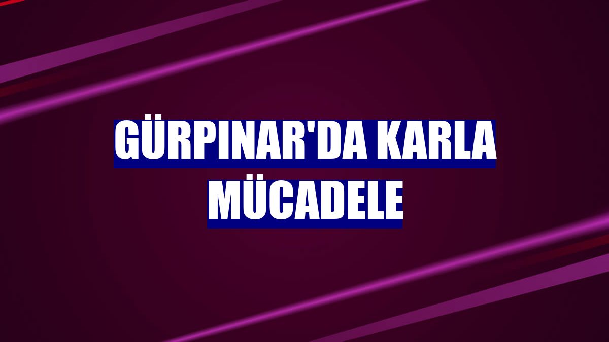Gürpınar'da karla mücadele