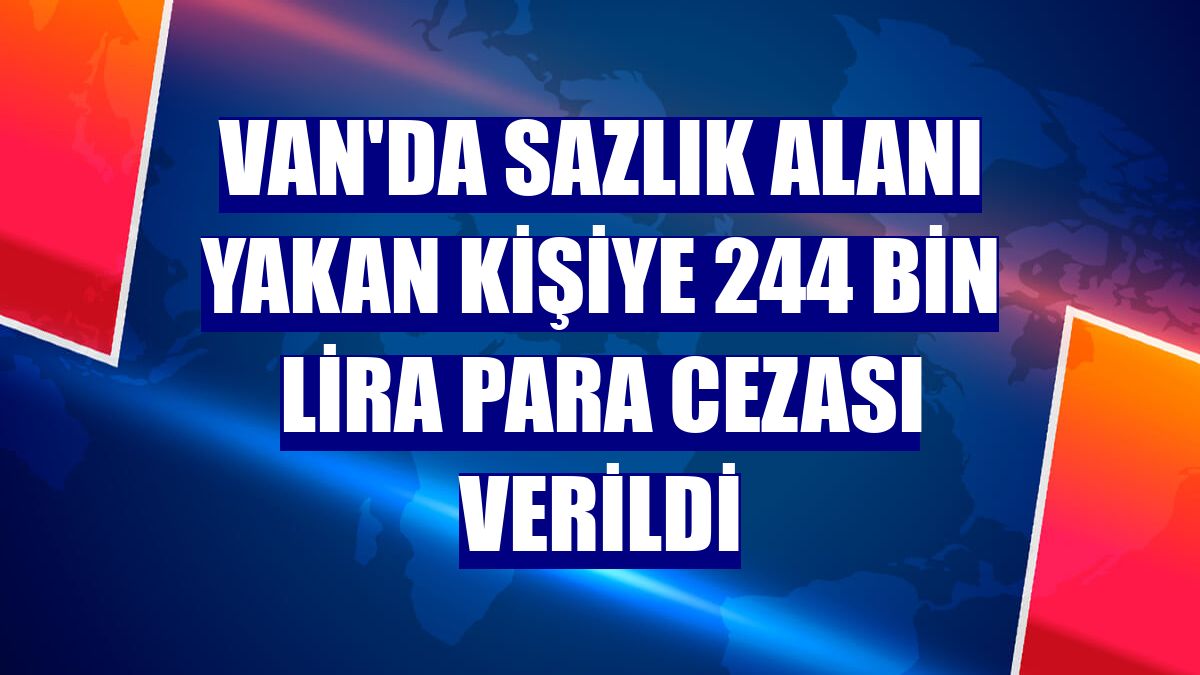 Van'da sazlık alanı yakan kişiye 244 bin lira para cezası verildi