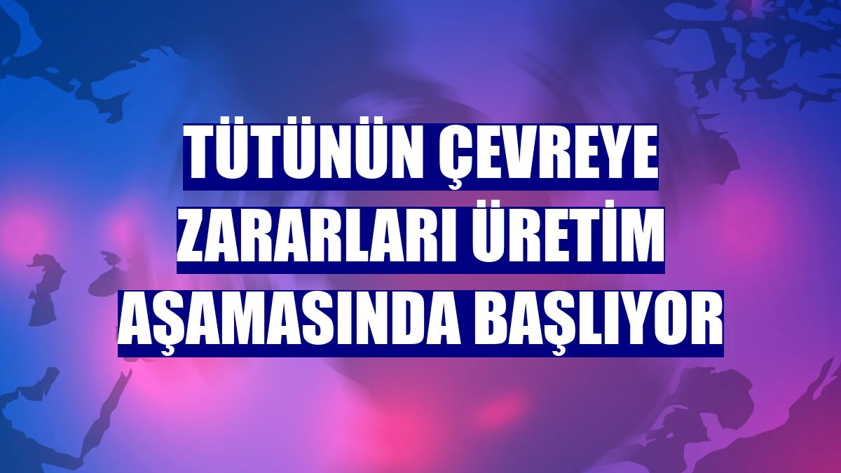 Tütünün çevreye zararları üretim aşamasında başlıyor