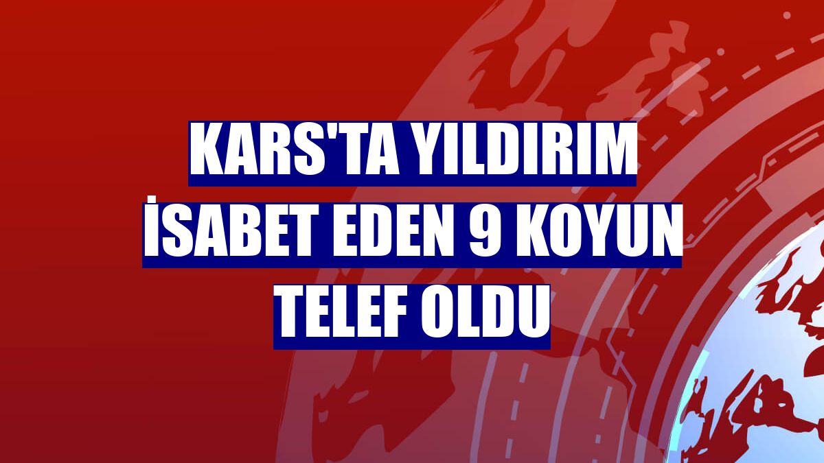 Kars'ta yıldırım isabet eden 9 koyun telef oldu