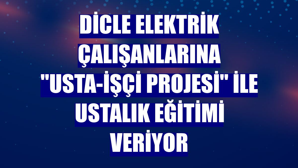 Dicle Elektrik çalışanlarına "Usta-İşçi Projesi" ile ustalık eğitimi veriyor