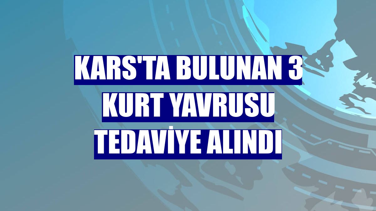 Kars'ta bulunan 3 kurt yavrusu tedaviye alındı