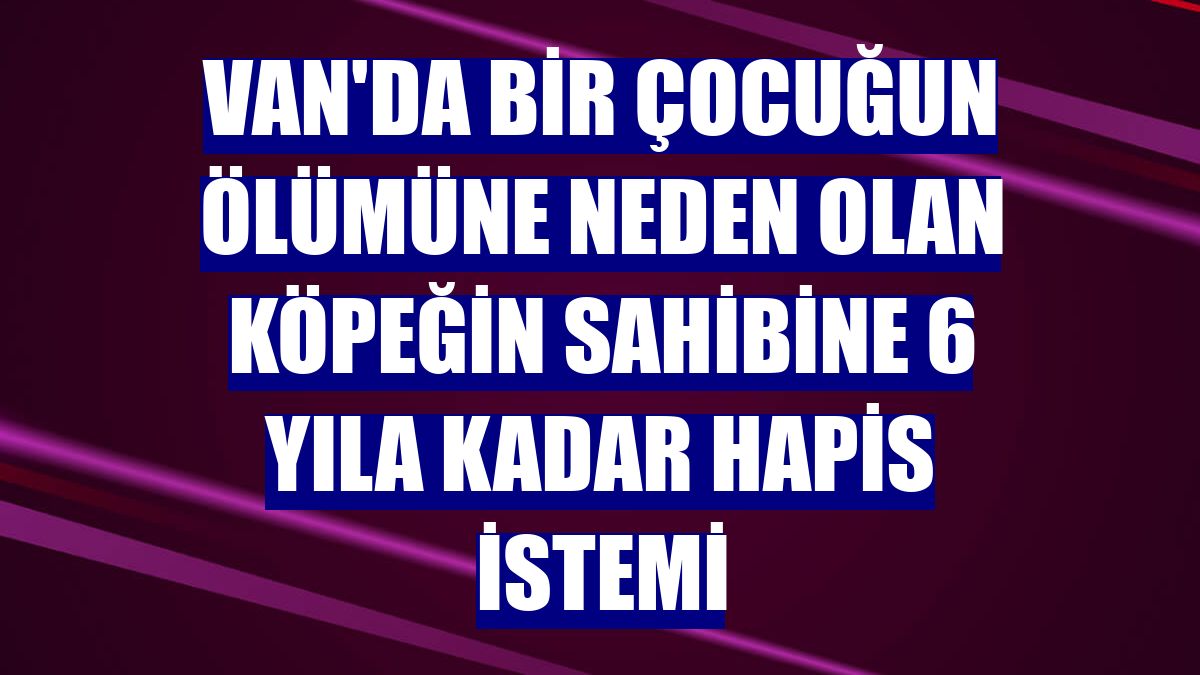 Van'da bir çocuğun ölümüne neden olan köpeğin sahibine 6 yıla kadar hapis istemi