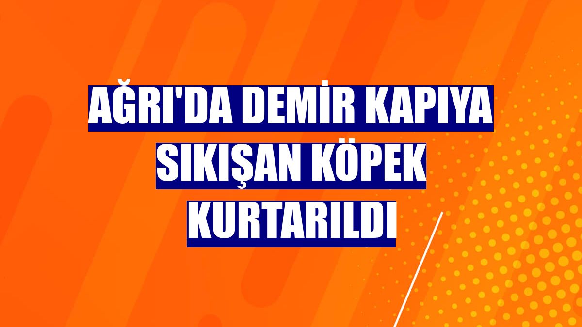 Ağrı'da demir kapıya sıkışan köpek kurtarıldı