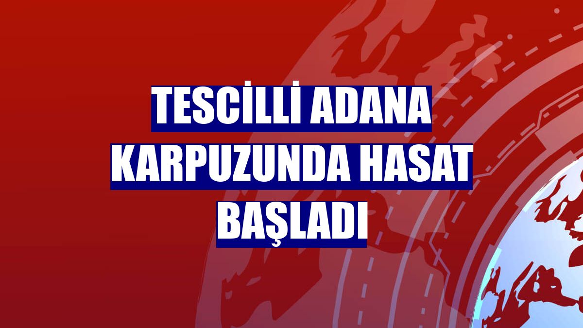 Tescilli Adana karpuzunda hasat başladı