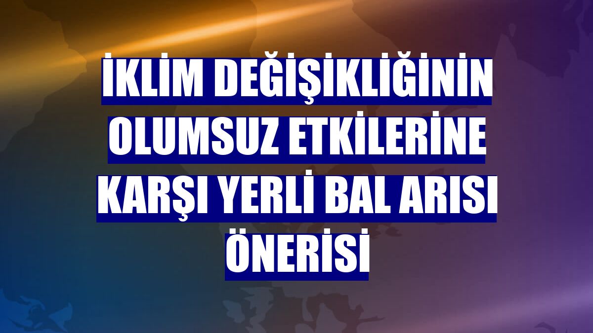 İklim değişikliğinin olumsuz etkilerine karşı yerli bal arısı önerisi