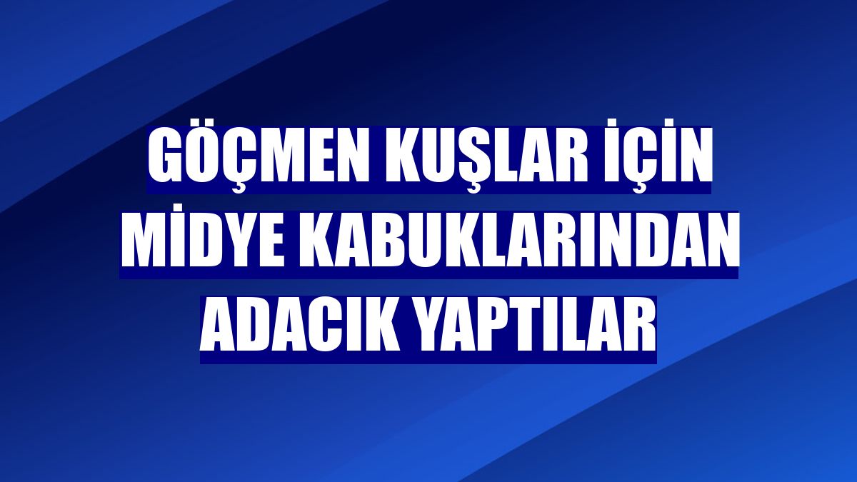 Göçmen kuşlar için midye kabuklarından adacık yaptılar