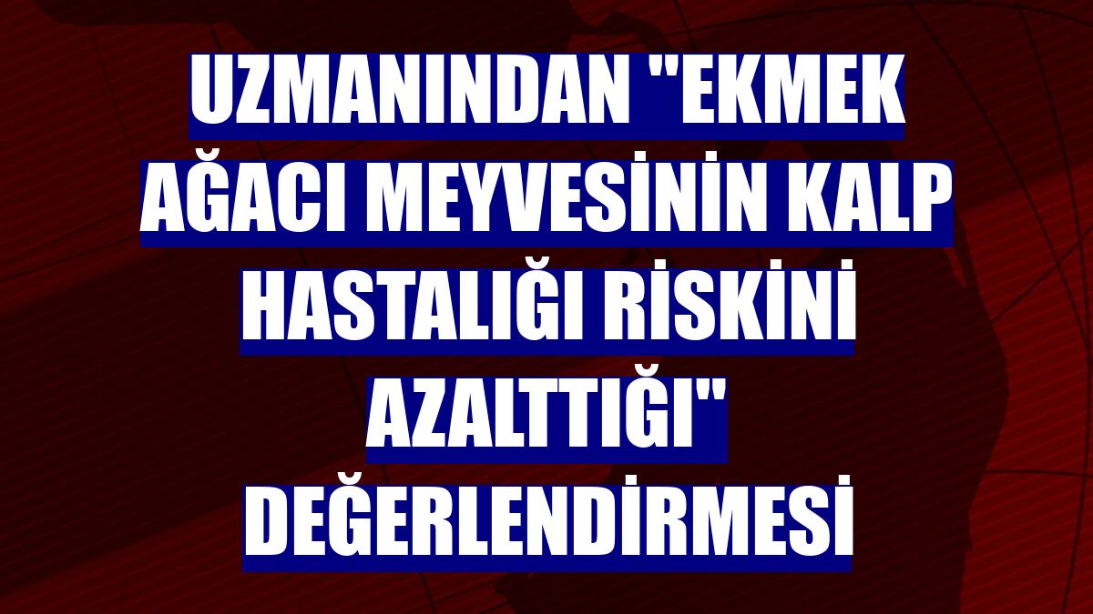 Uzmanından "ekmek ağacı meyvesinin kalp hastalığı riskini azalttığı" değerlendirmesi