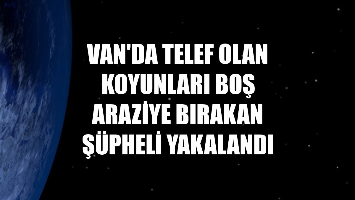 Van'da telef olan koyunları boş araziye bırakan şüpheli yakalandı