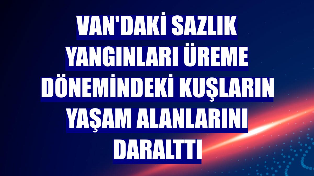Van'daki sazlık yangınları üreme dönemindeki kuşların yaşam alanlarını daralttı