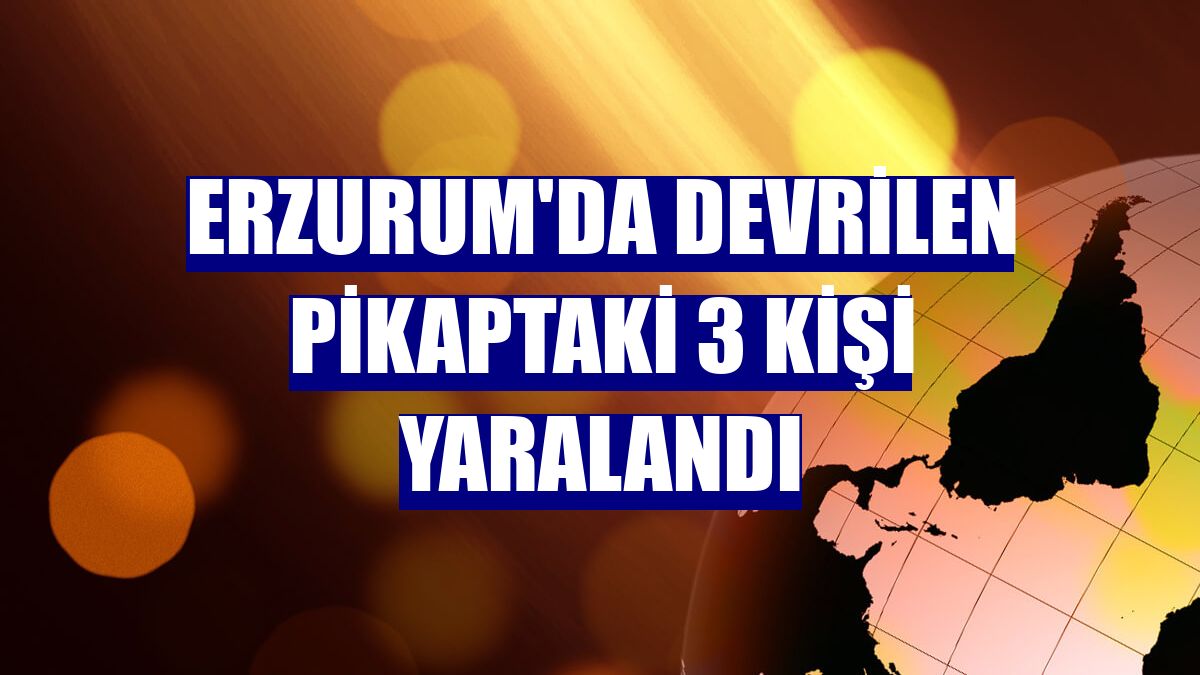 Erzurum'da devrilen pikaptaki 3 kişi yaralandı