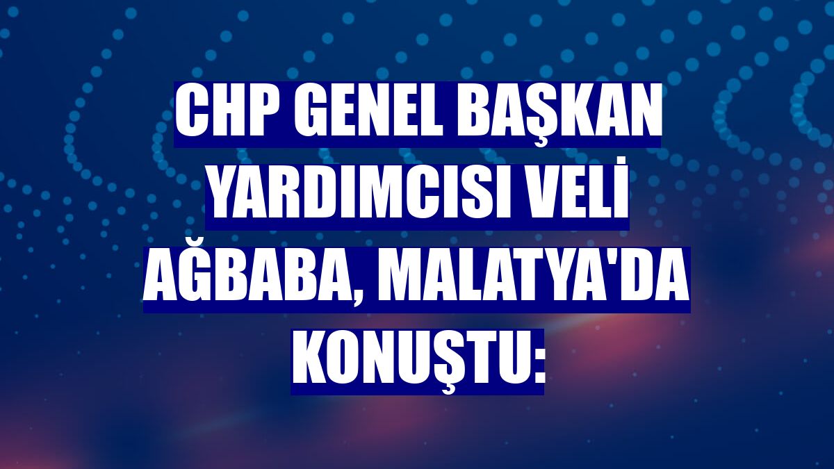 CHP Genel Başkan Yardımcısı Veli Ağbaba, Malatya'da konuştu: