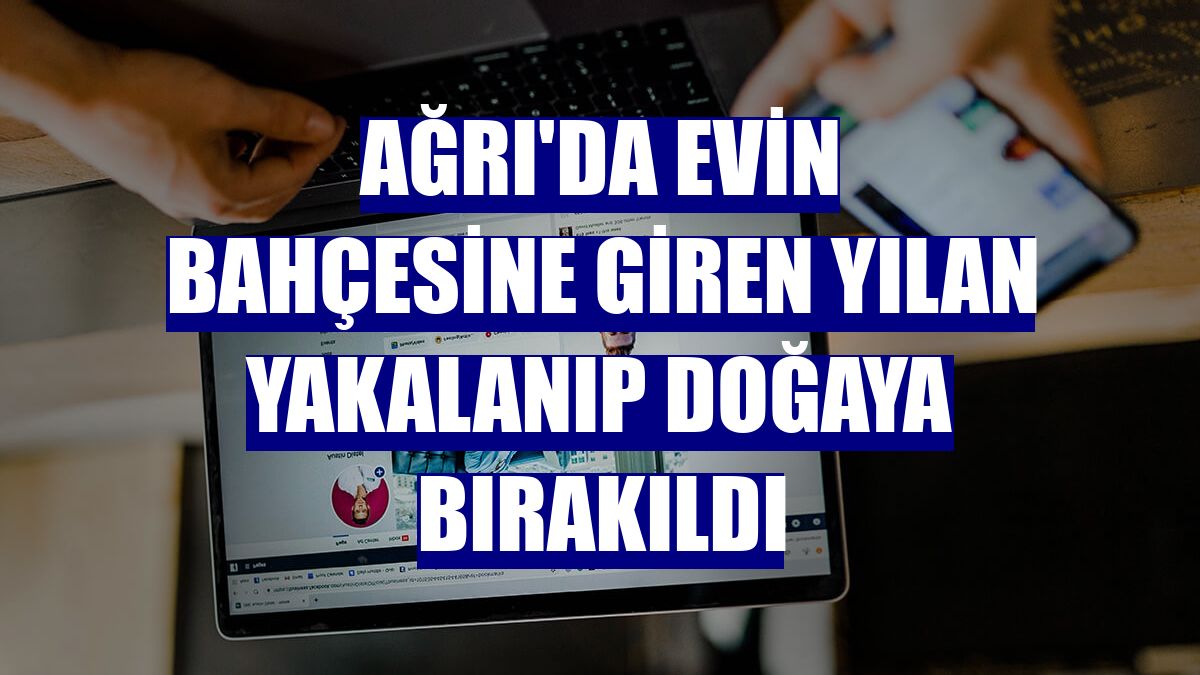 Ağrı'da evin bahçesine giren yılan yakalanıp doğaya bırakıldı