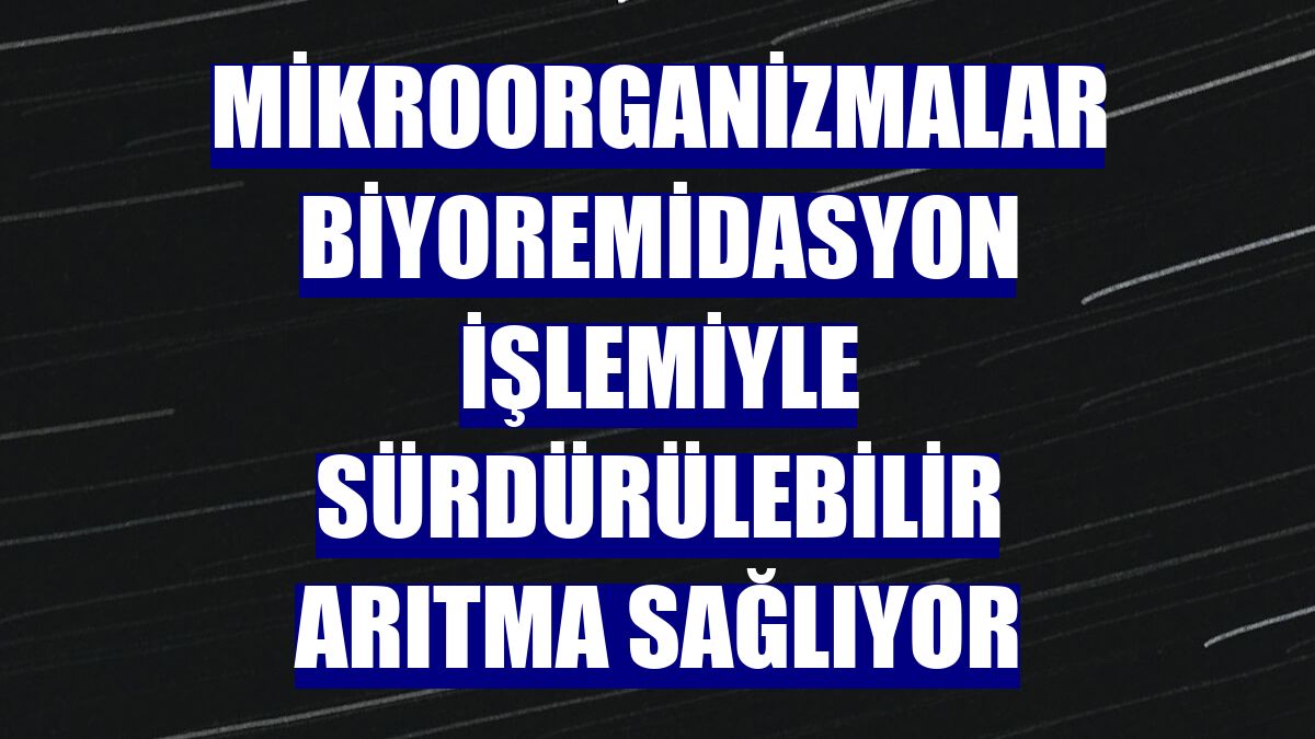 Mikroorganizmalar biyoremidasyon işlemiyle sürdürülebilir arıtma sağlıyor