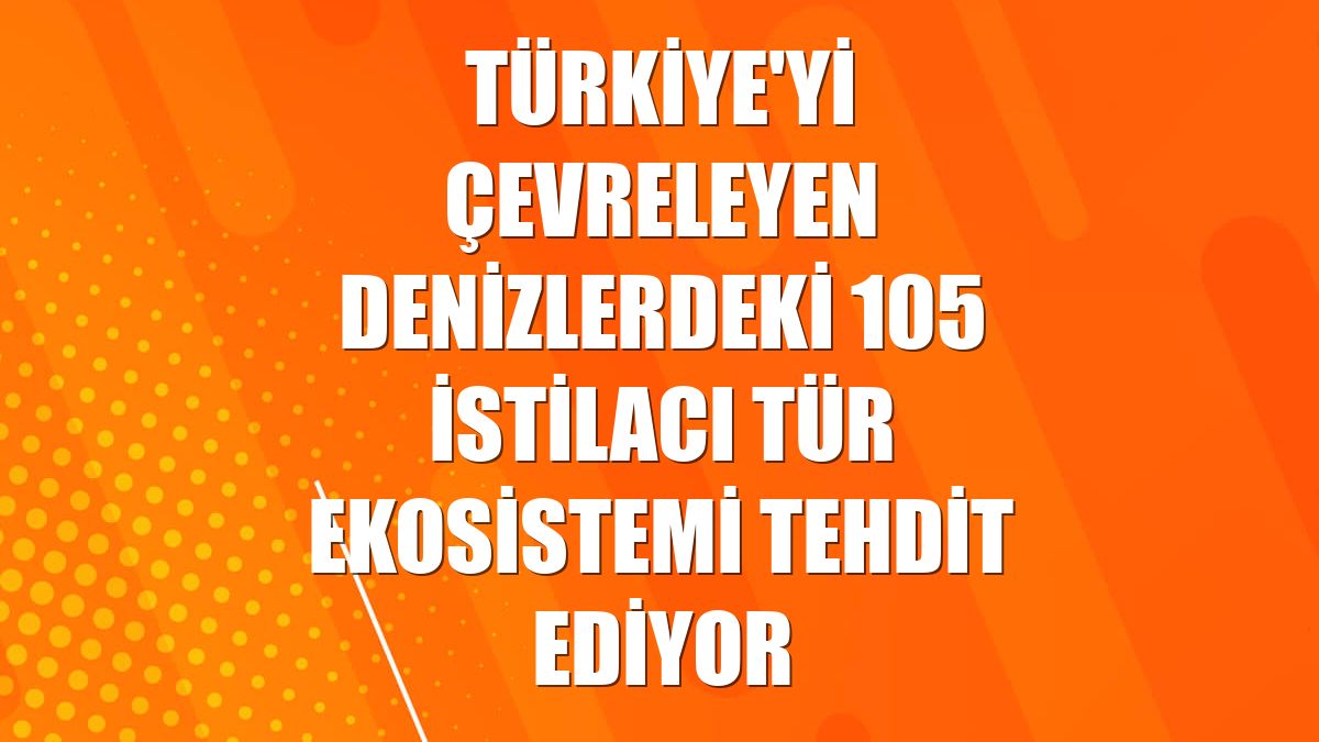 Türkiye'yi çevreleyen denizlerdeki 105 istilacı tür ekosistemi tehdit ediyor