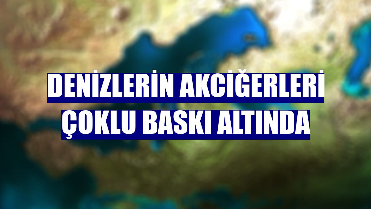 Denizlerin akciğerleri çoklu baskı altında