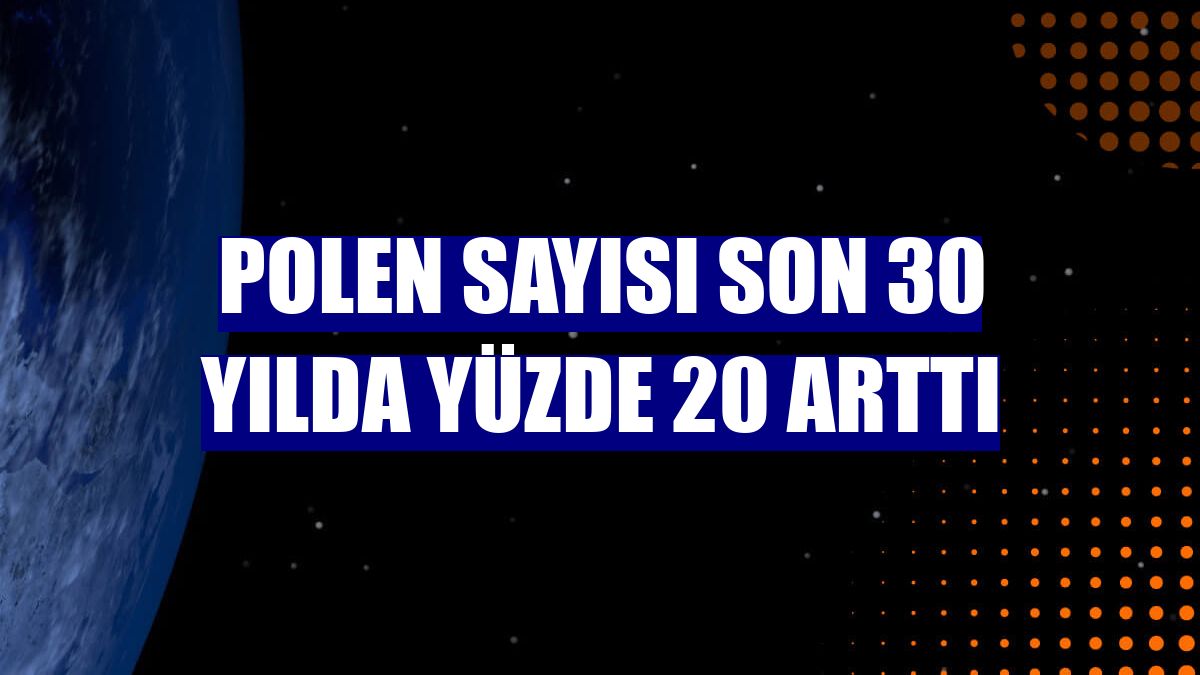 Polen sayısı son 30 yılda yüzde 20 arttı