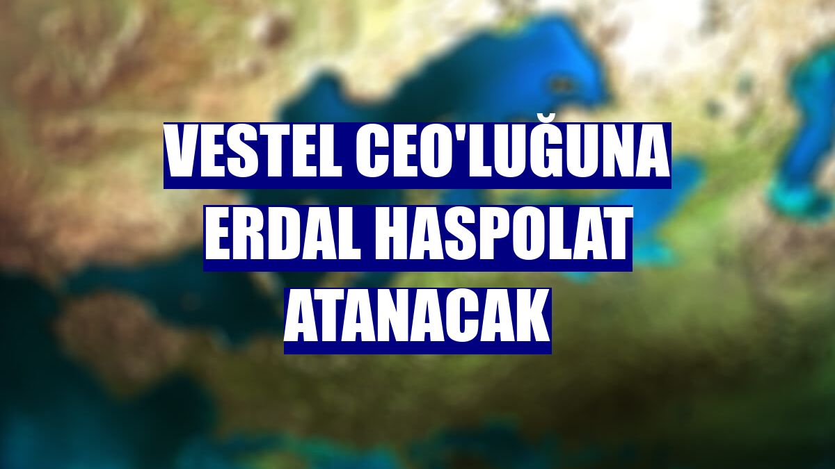 Vestel CEO'luğuna Erdal Haspolat atanacak