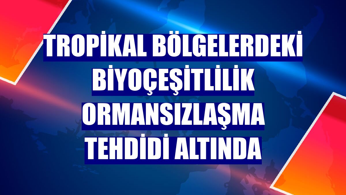 Tropikal bölgelerdeki biyoçeşitlilik ormansızlaşma tehdidi altında