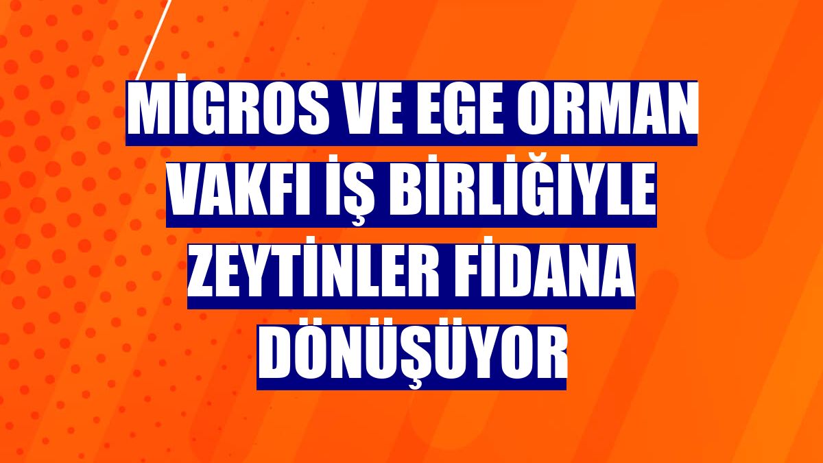 Migros ve Ege Orman Vakfı iş birliğiyle zeytinler fidana dönüşüyor