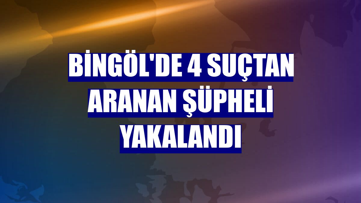 Bingöl'de 4 suçtan aranan şüpheli yakalandı