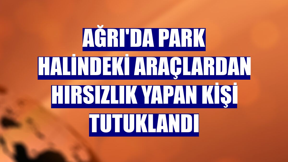 Ağrı'da park halindeki araçlardan hırsızlık yapan kişi tutuklandı