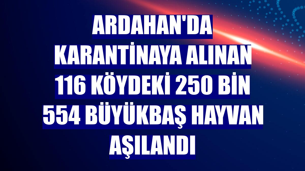 Ardahan'da karantinaya alınan 116 köydeki 250 bin 554 büyükbaş hayvan aşılandı