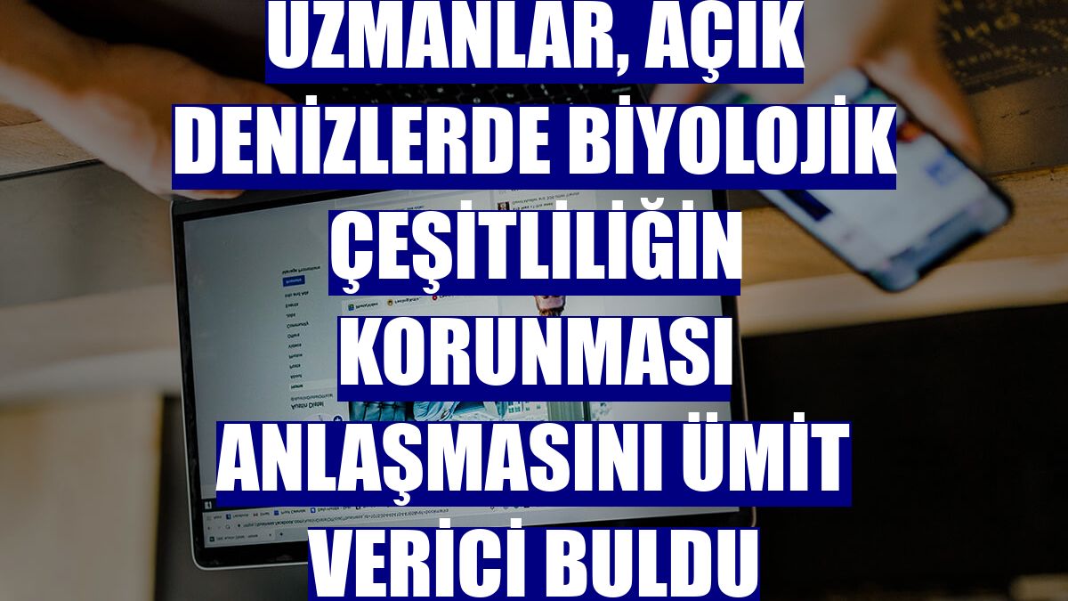 Uzmanlar, açık denizlerde biyolojik çeşitliliğin korunması anlaşmasını ümit verici buldu