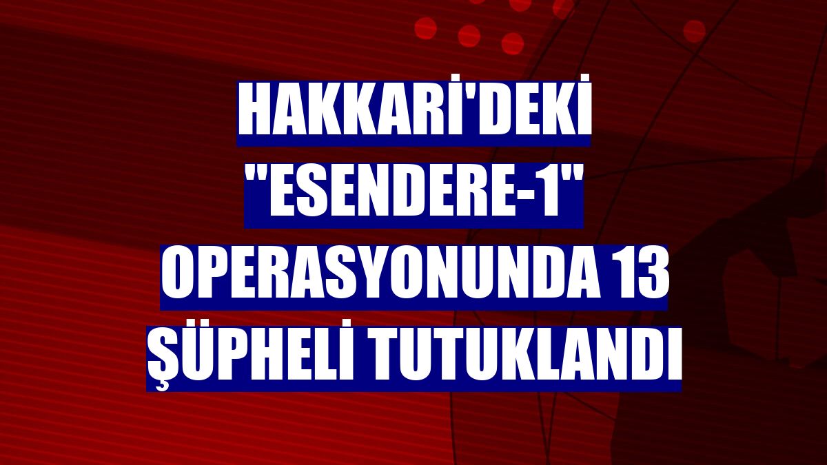 Hakkari'deki "Esendere-1" operasyonunda 13 şüpheli tutuklandı