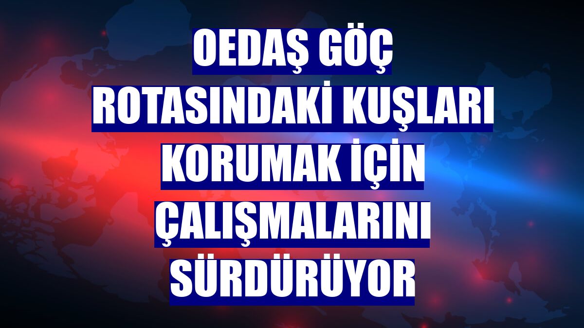 OEDAŞ göç rotasındaki kuşları korumak için çalışmalarını sürdürüyor